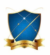 Bảo Hộ Việt Nam